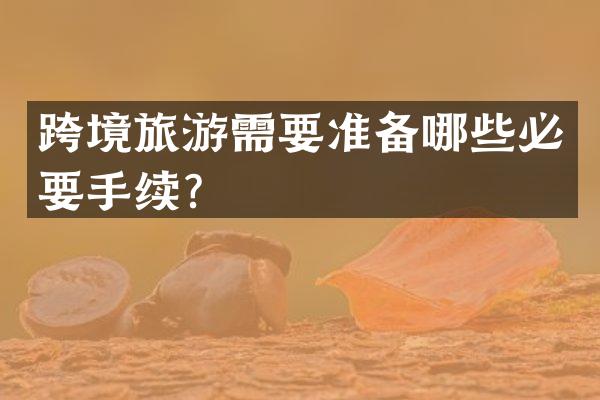 跨境旅游需要准备哪些必要手续？