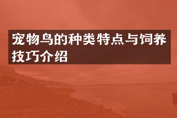 宠物鸟的种类特点与饲养技巧介绍