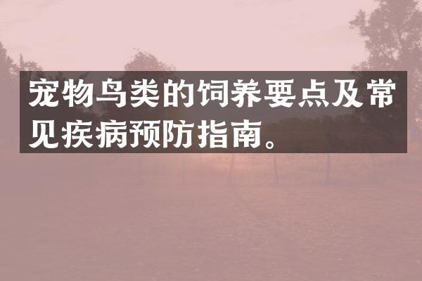 宠物鸟类的饲养要点及常见疾病预防指南。
