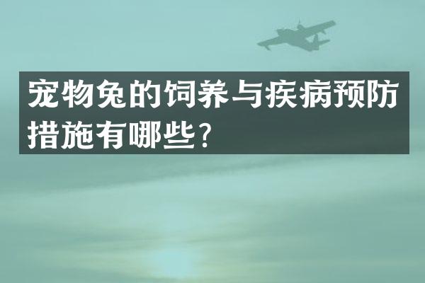 宠物兔的饲养与疾病预防措施有哪些？