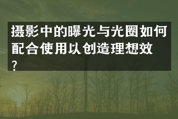 摄影中的曝光与光圈如何配合使用以创造理想效果？