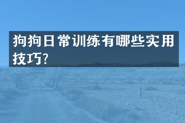 狗狗日常训练有哪些实用技巧？