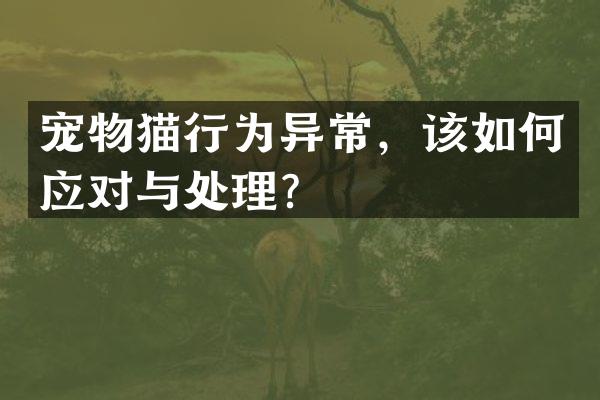 宠物猫行为异常，该如何应对与处理？