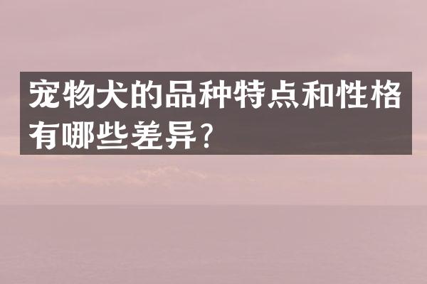 宠物犬的品种特点和性格有哪些差异？