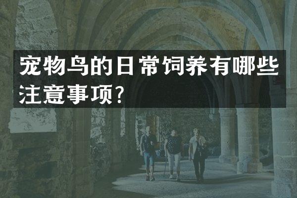 宠物鸟的日常饲养有哪些注意事项？