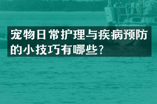 宠物日常护理与疾病预防的小技巧有哪些？