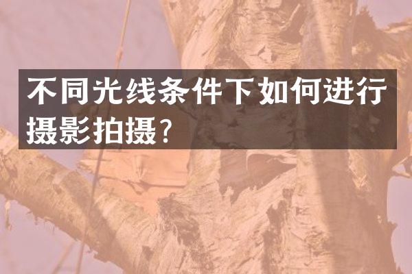 不同光线条件下如何进行摄影拍摄？