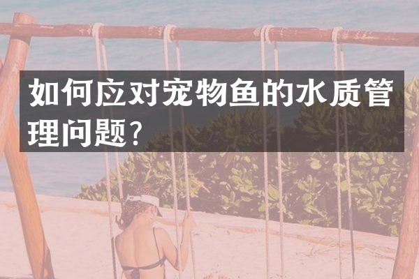 如何应对宠物鱼的水质管理问题？