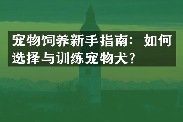 宠物饲养新手指南：如何选择与训练宠物犬？