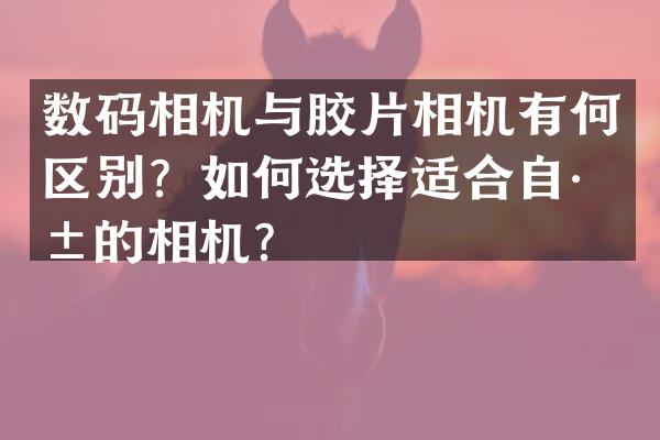 数码相机与胶片相机有何区别？如何选择适合自己的相机？