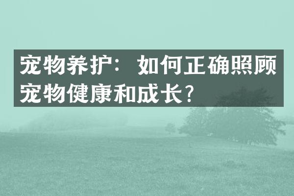 宠物养护：如何正确照顾宠物健康和成长？