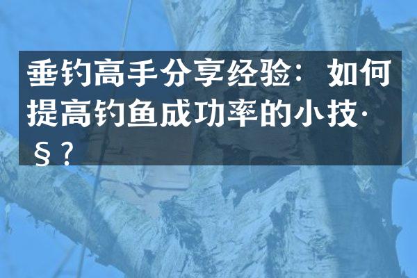 垂钓高手分享经验：如何提高钓鱼成功率的小技巧？