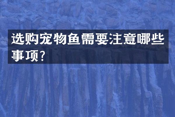 选购宠物鱼需要注意哪些事项？