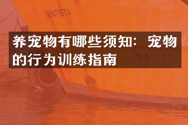 养宠物有哪些须知：宠物的行为训练指南