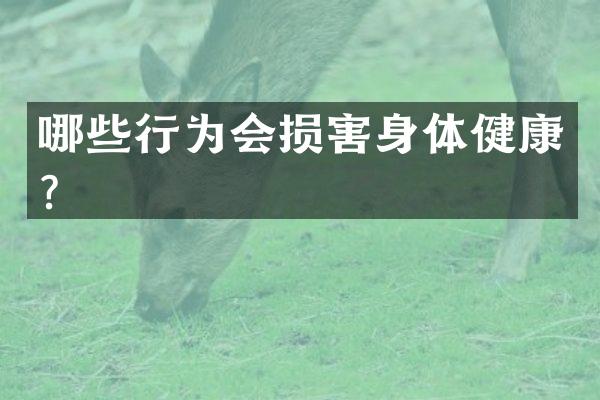 哪些行为会损害身体健康？