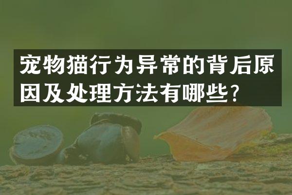 宠物猫行为异常的背后原因及处理方法有哪些？