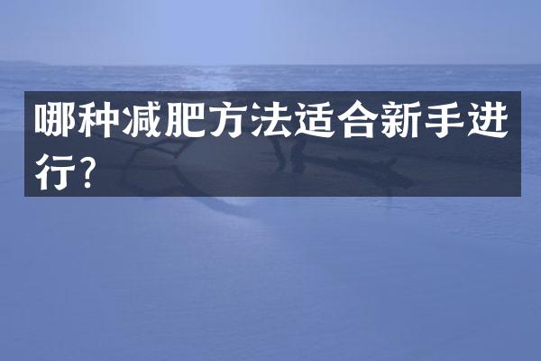 哪种减肥方法适合新手进行？
