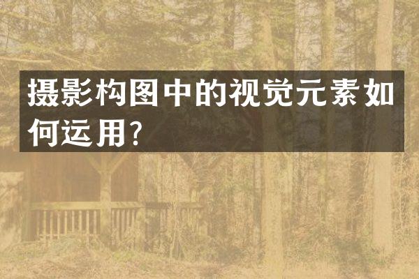 摄影构图中的视觉元素如何运用？