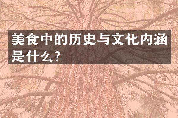 美食中的历史与文化内涵是什么？