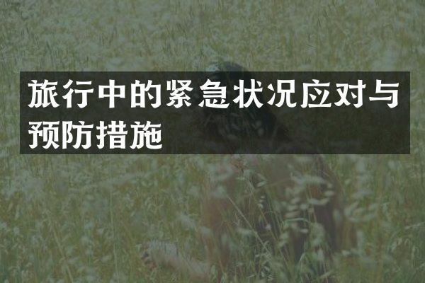 旅行中的紧急状况应对与预防措施