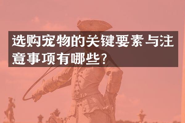 选购宠物的关键要素与注意事项有哪些？
