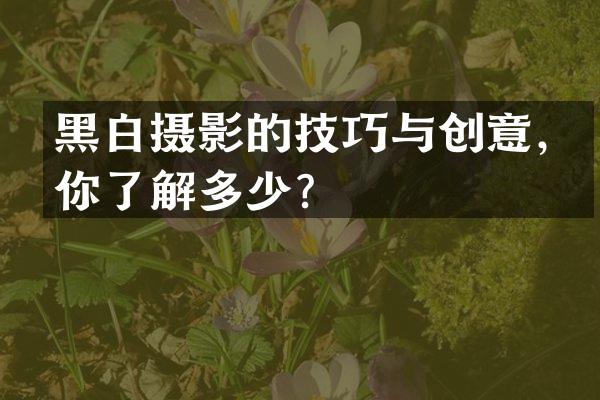 黑白摄影的技巧与创意，你了解多少？