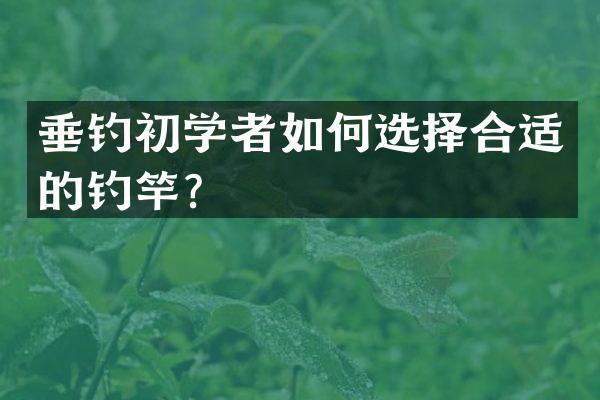 垂钓初学者如何选择合适的钓竿？