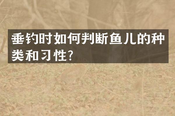 垂钓时如何判断鱼儿的种类和习性？