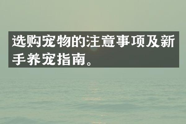 选购宠物的注意事项及新手养宠指南。