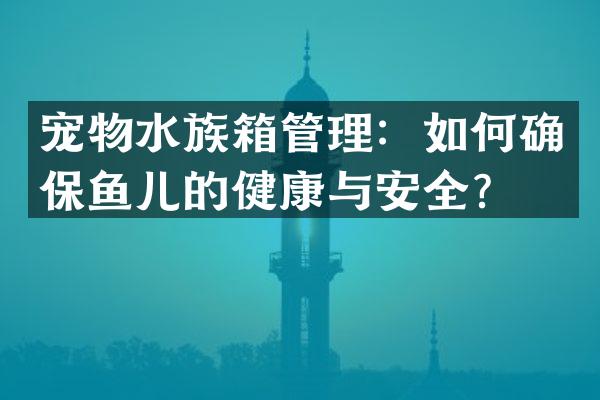 宠物水族箱管理：如何确保鱼儿的健康与安全？