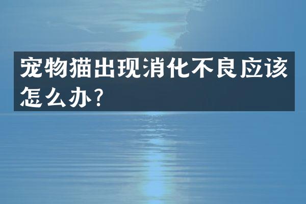 宠物猫出现消化不良应该怎么办？