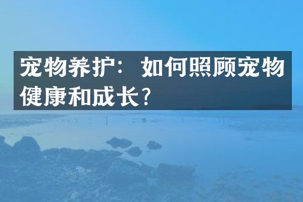 宠物养护：如何照顾宠物健康和成长？