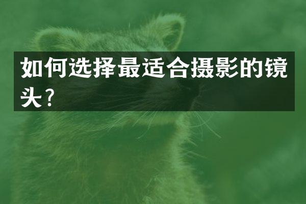 如何选择最适合摄影的镜头？