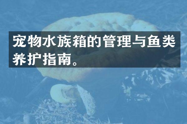 宠物水族箱的管理与鱼类养护指南。