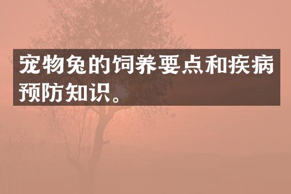宠物兔的饲养要点和疾病预防知识。